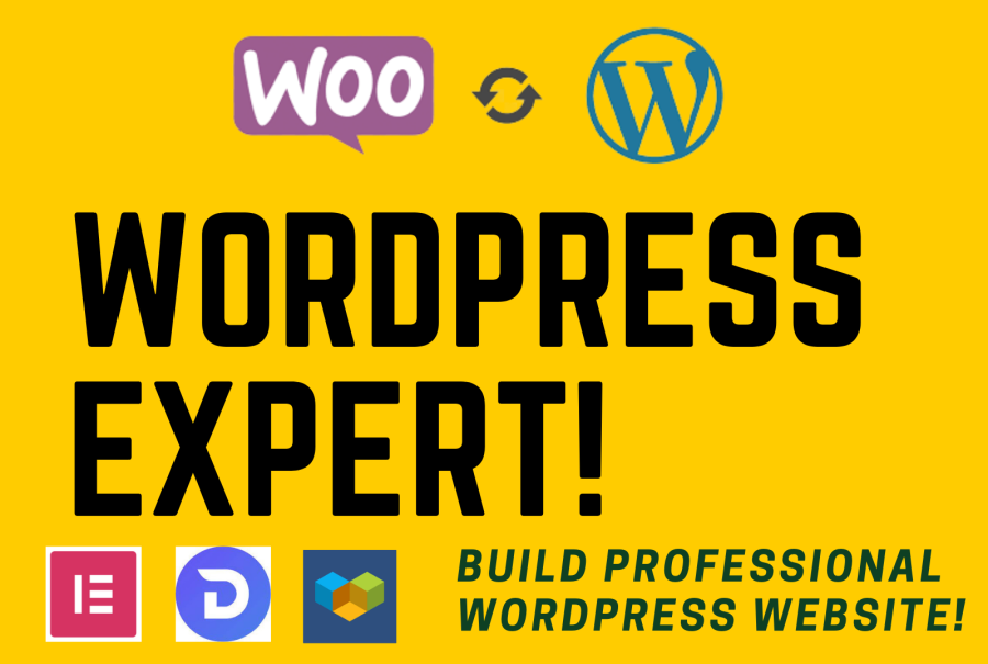 I will build ecommerce website online store with wordpress woocommerce