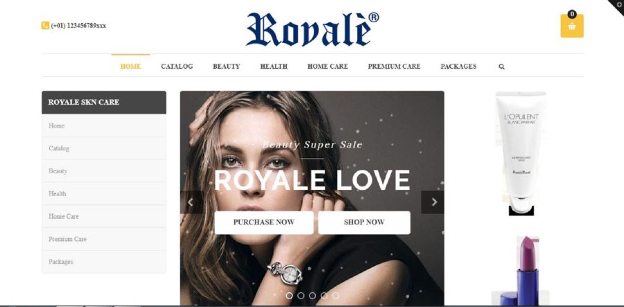 Will build shopify drop shipping store for you to start a business