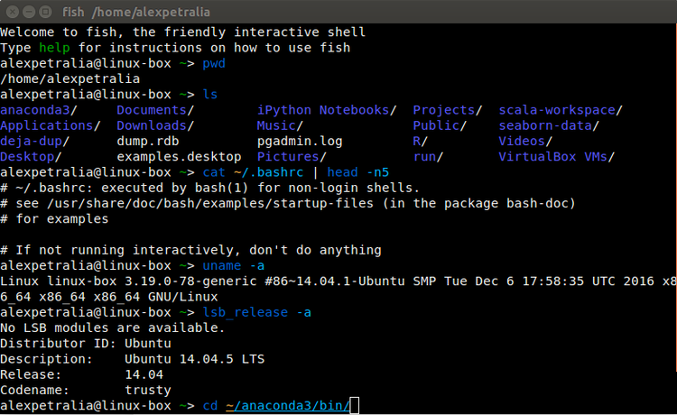shell scripting, bash scripts, csh and ksh scripts