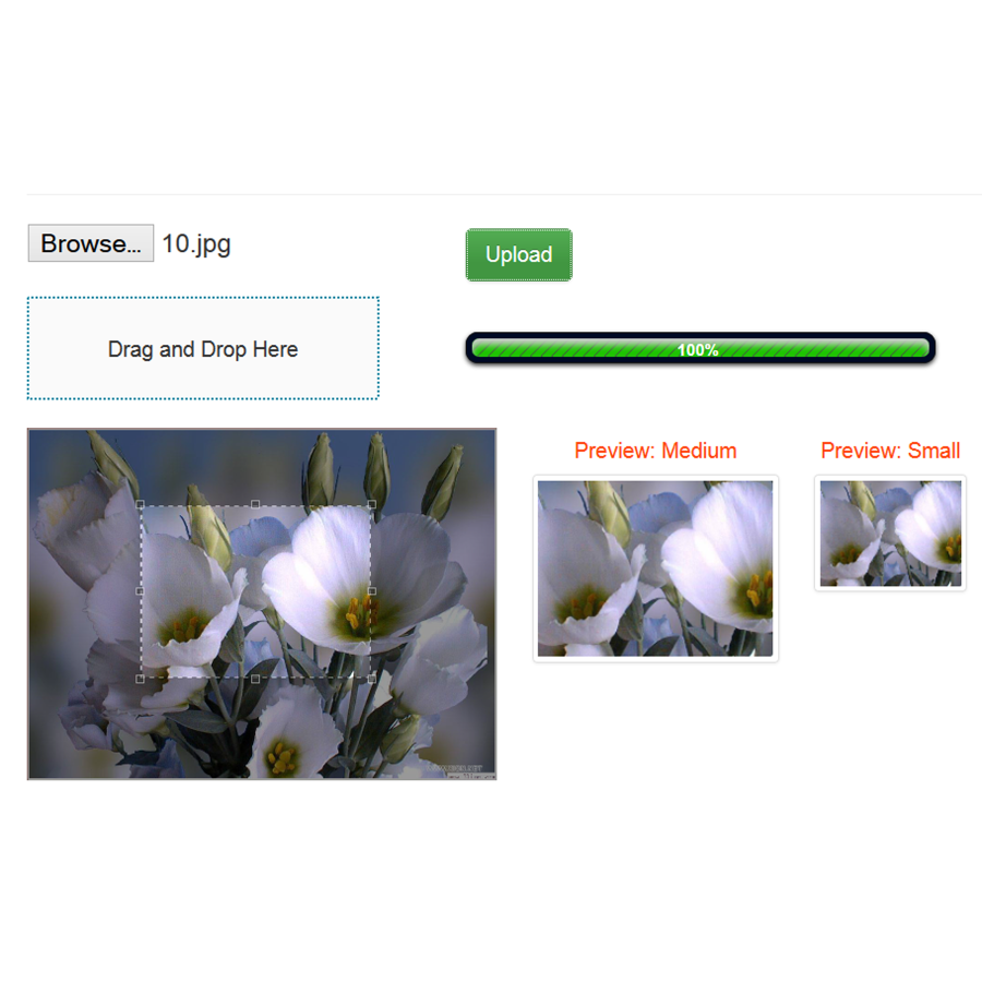 Jcrop & Upload