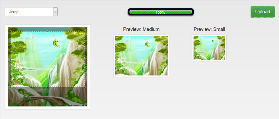 Crop & Upload