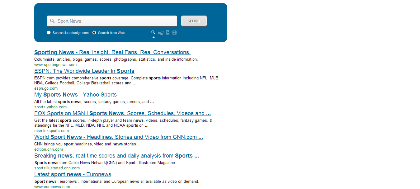 Custom Site Search