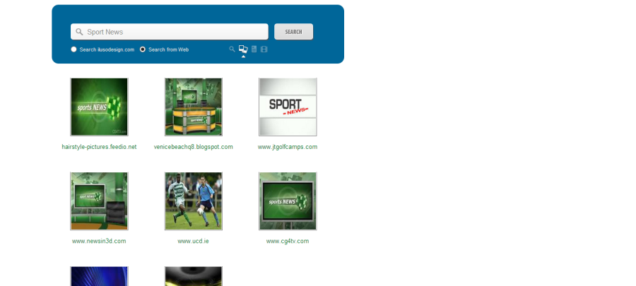 Custom Site Search