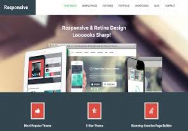 I will create wordpress website design or blog with SEO optimization