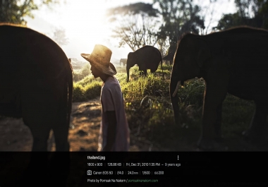 Files. Single-file PHP file viewer and gallery