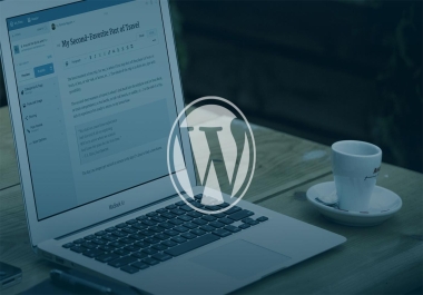I will do website development and be your wordpress developer