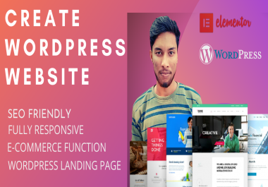 I will create professional & responsive wordpress website