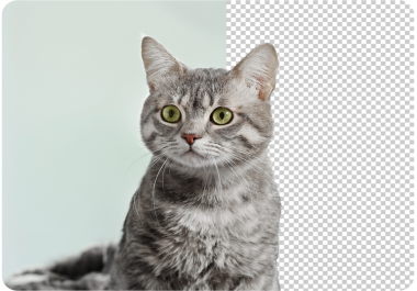 JPG to PNG Converter made by using HTML