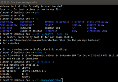 shell scripting,  bash scripts,  csh and ksh scripts