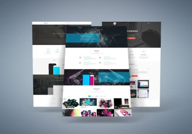 Develop Your Professional Website