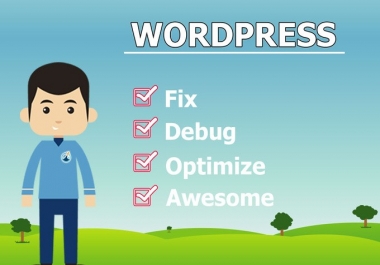 do any kind of WordPress Issues in only 5 hours